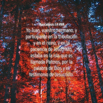 Picture 04 - Apocalipsis 1:9 RVA - Yo Juan, vuestro hermano, y participante en la - Bible Verse Picture