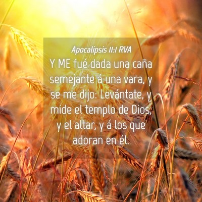 Picture 04 - Apocalipsis 11:1 RVA - Y ME fué dada una caña semejante á una vara, y - Bible Verse Picture