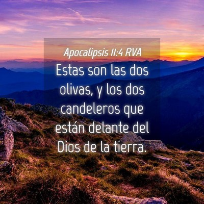 Picture 04 - Apocalipsis 11:4 RVA - Estas son las dos olivas, y los dos candeleros - Bible Verse Picture