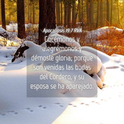 Picture 04 - Apocalipsis 19:7 RVA - Gocémonos y alegrémonos y démosle gloria; - Bible Verse Picture