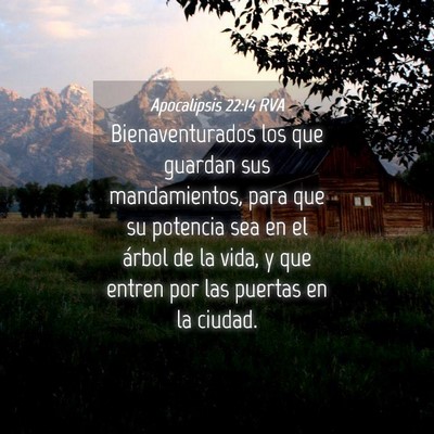 Picture 04 - Apocalipsis 22:14 RVA - Bienaventurados los que guardan sus mandamientos, - Bible Verse Picture