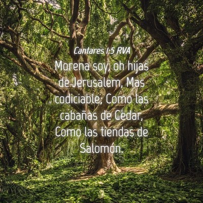Picture 04 - Cantares 1:5 RVA - Morena soy, oh hijas de Jerusalem, Mas - Bible Verse Picture