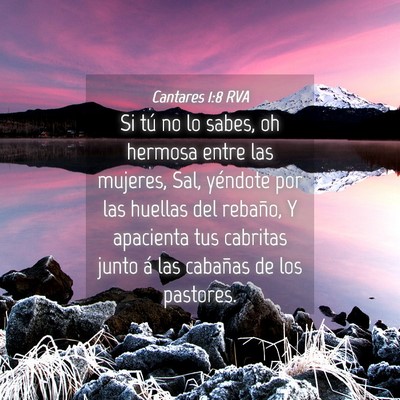 Picture 04 - Cantares 1:8 RVA - Si tú no lo sabes, oh hermosa entre las mujeres, - Bible Verse Picture