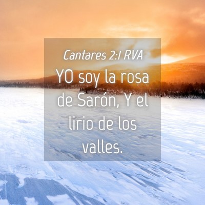 Picture 04 - Cantares 2:1 RVA - YO soy la rosa de Sarón, Y el lirio de los - Bible Verse Picture