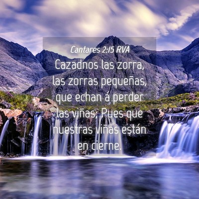 Picture 04 - Cantares 2:15 RVA - Cazadnos las zorra, las zorras pequeñas, que - Bible Verse Picture