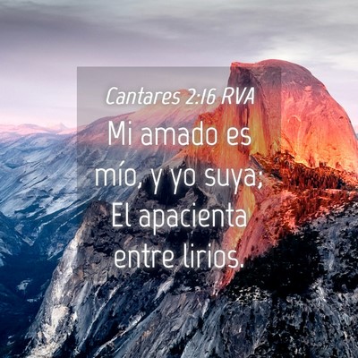 Picture 04 - Cantares 2:16 RVA - Mi amado es mío, y yo suya; El apacienta entre - Bible Verse Picture