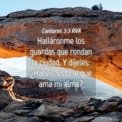 Picture 04 - Cantares 3:3 RVA - Halláronme los guardas que rondan la ciudad, Y - Bible Verse Picture