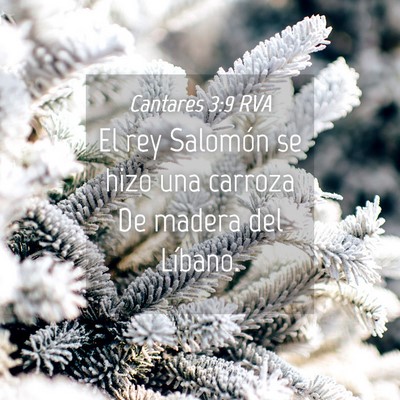 Picture 04 - Cantares 3:9 RVA - El rey Salomón se hizo una carroza De madera del - Bible Verse Picture