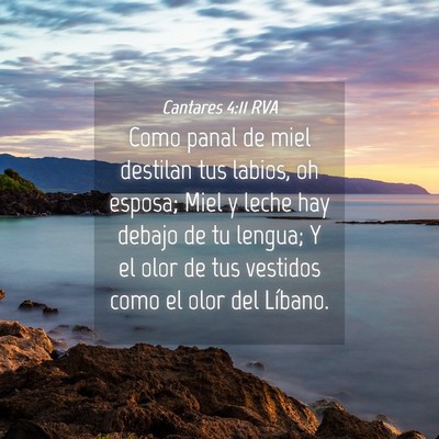 Picture 04 - Cantares 4:11 RVA - Como panal de miel destilan tus labios, oh - Bible Verse Picture