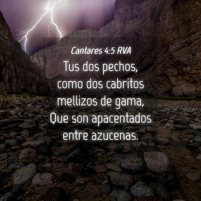 Picture 04 - Cantares 4:5 RVA - Tus dos pechos, como dos cabritos mellizos de - Bible Verse Picture