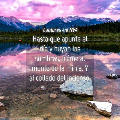 Picture 04 - Cantares 4:6 RVA - Hasta que apunte el día y huyan las sombras, - Bible Verse Picture
