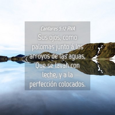 Picture 04 - Cantares 5:12 RVA - Sus ojos, como palomas junto á los arroyos de - Bible Verse Picture