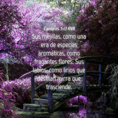 Picture 04 - Cantares 5:13 RVA - Sus mejillas, como una era de especias - Bible Verse Picture