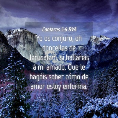 Picture 04 - Cantares 5:8 RVA - Yo os conjuro, oh doncellas de Jerusalem, si - Bible Verse Picture
