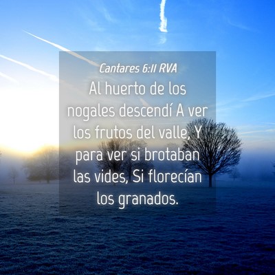Picture 04 - Cantares 6:11 RVA - Al huerto de los nogales descendí A ver los - Bible Verse Picture