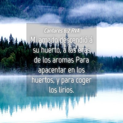 Picture 04 - Cantares 6:2 RVA - Mi amado descendió á su huerto, á las eras de - Bible Verse Picture