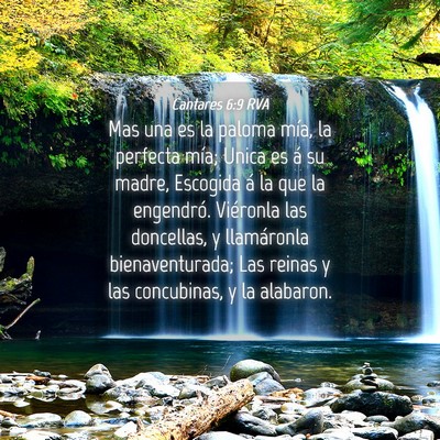 Picture 04 - Cantares 6:9 RVA - Mas una es la paloma mía, la perfecta mía; - Bible Verse Picture
