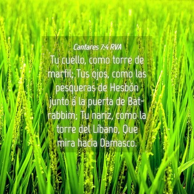 Picture 04 - Cantares 7:4 RVA - Tu cuello, como torre de marfil; Tus ojos, como - Bible Verse Picture