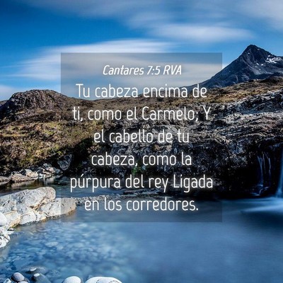 Picture 04 - Cantares 7:5 RVA - Tu cabeza encima de ti, como el Carmelo; Y el - Bible Verse Picture