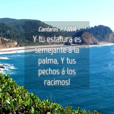 Picture 04 - Cantares 7:7 RVA - Y tu estatura es semejante á la palma, Y tus - Bible Verse Picture
