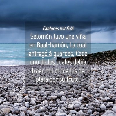 Picture 04 - Cantares 8:11 RVA - Salomón tuvo una viña en Baal-hamón, La cual - Bible Verse Picture