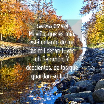 Picture 04 - Cantares 8:12 RVA - Mi viña, que es mía, está delante de mí: Las - Bible Verse Picture