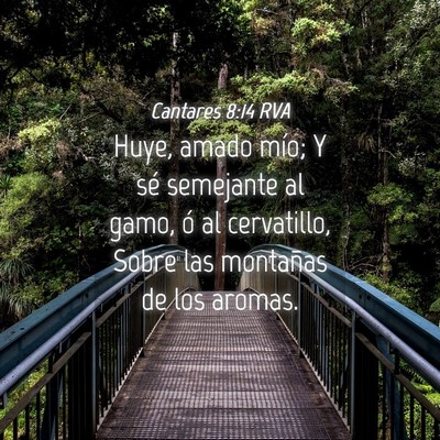 Picture 04 - Cantares 8:14 RVA - Huye, amado mío; Y sé semejante al gamo, ó al - Bible Verse Picture