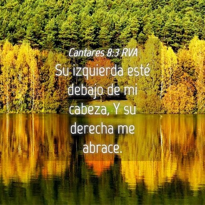 Picture 04 - Cantares 8:3 RVA - Su izquierda esté debajo de mi cabeza, Y su - Bible Verse Picture