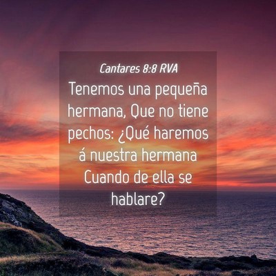 Picture 04 - Cantares 8:8 RVA - Tenemos una pequeña hermana, Que no tiene - Bible Verse Picture