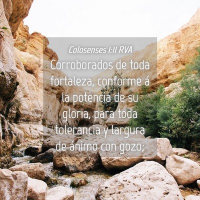 Picture 04 - Colosenses 1:11 RVA - Corroborados de toda fortaleza, conforme á la - Bible Verse Picture
