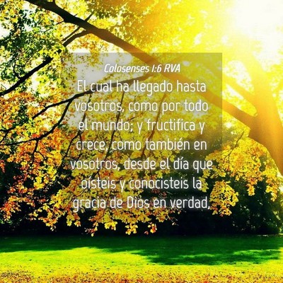 Picture 04 - Colosenses 1:6 RVA - El cual ha llegado hasta vosotros, como por todo - Bible Verse Picture