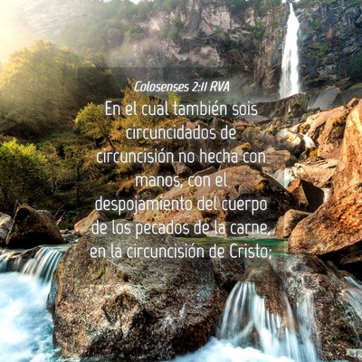 Picture 04 - Colosenses 2:11 RVA - En el cual también sois circuncidados de - Bible Verse Picture