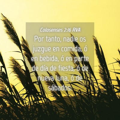 Picture 04 - Colosenses 2:16 RVA - Por tanto, nadie os juzgue en comida, ó en - Bible Verse Picture