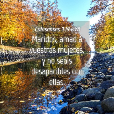 Picture 04 - Colosenses 3:19 RVA - Maridos, amad á vuestras mujeres, y no seáis - Bible Verse Picture