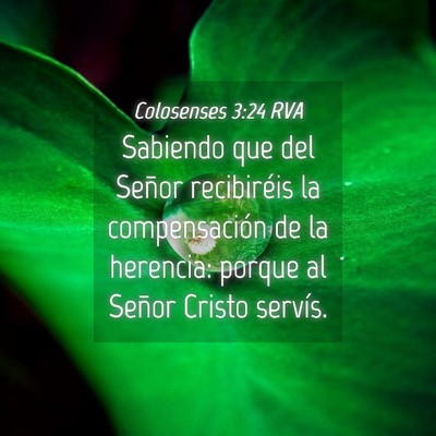 Picture 04 - Colosenses 3:24 RVA - Sabiendo que del Señor recibiréis la - Bible Verse Picture