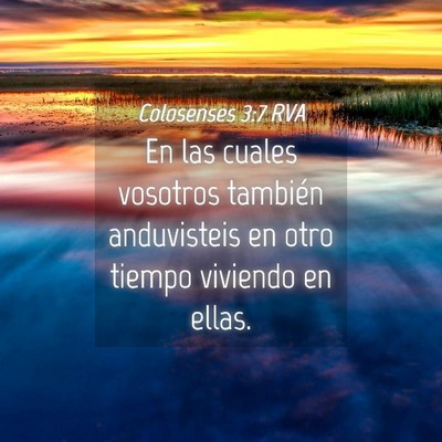 Picture 04 - Colosenses 3:7 RVA - En las cuales vosotros también anduvisteis en - Bible Verse Picture