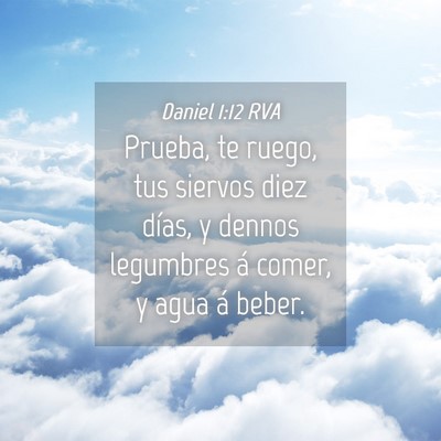 Picture 04 - Daniel 1:12 RVA - Prueba, te ruego, tus siervos diez días, y - Bible Verse Picture