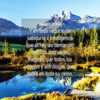 Picture 04 - Daniel 1:20 RVA - Y en todo negocio de sabiduría é inteligencia - Bible Verse Picture