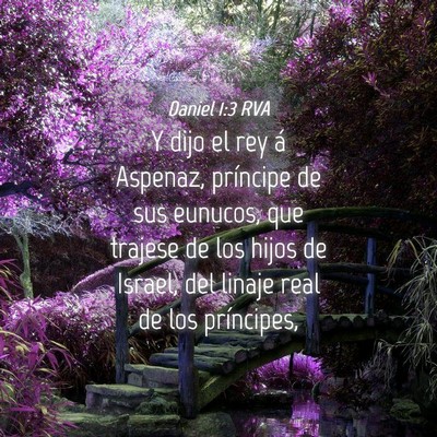Picture 04 - Daniel 1:3 RVA - Y dijo el rey á Aspenaz, príncipe de sus - Bible Verse Picture