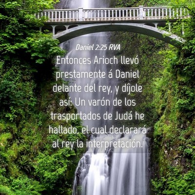 Picture 04 - Daniel 2:25 RVA - Entonces Arioch llevó prestamente á Daniel - Bible Verse Picture