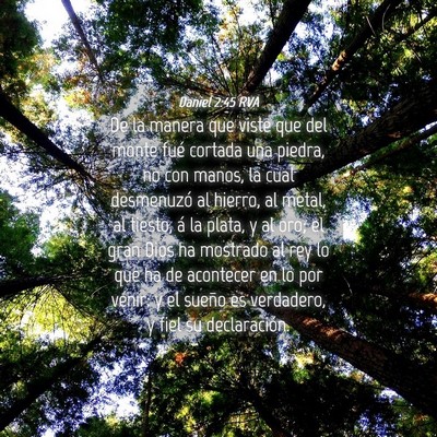 Picture 04 - Daniel 2:45 RVA - De la manera que viste que del monte fué cortada - Bible Verse Picture