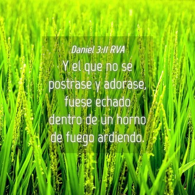Picture 04 - Daniel 3:11 RVA - Y el que no se postrase y adorase, fuese echado - Bible Verse Picture