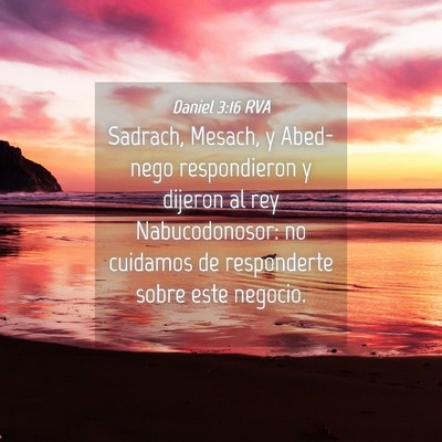Picture 04 - Daniel 3:16 RVA - Sadrach, Mesach, y Abed-nego respondieron y - Bible Verse Picture