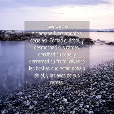Picture 04 - Daniel 4:14 RVA - Y clamaba fuertemente y decía así: Cortad el - Bible Verse Picture