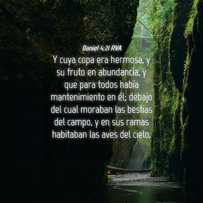 Picture 04 - Daniel 4:21 RVA - Y cuya copa era hermosa, y su fruto en - Bible Verse Picture