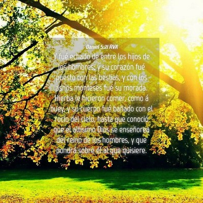 Picture 04 - Daniel 5:21 RVA - Y fué echado de entre los hijos de los hombres; - Bible Verse Picture