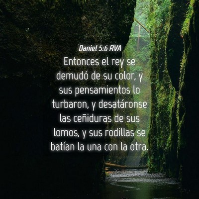 Picture 04 - Daniel 5:6 RVA - Entonces el rey se demudó de su color, y sus - Bible Verse Picture