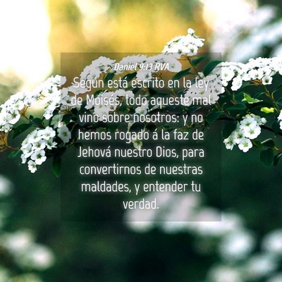 Picture 04 - Daniel 9:13 RVA - Según está escrito en la ley de Moisés, todo - Bible Verse Picture