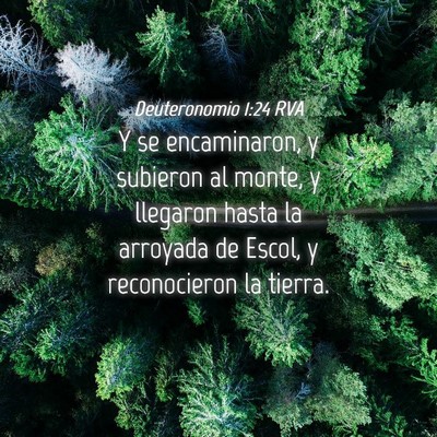 Picture 04 - Deuteronomio 1:24 RVA - Y se encaminaron, y subieron al monte, y llegaron - Bible Verse Picture
