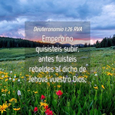 Picture 04 - Deuteronomio 1:26 RVA - Empero no quisisteis subir, antes fuisteis - Bible Verse Picture